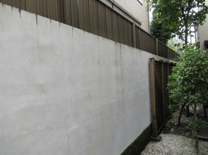 隣家の境にある塀や壁面は陰になりやすく、苔や雨だれの汚れが目立っています。