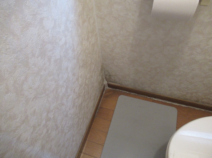 屋内では雨漏りが確認できました。